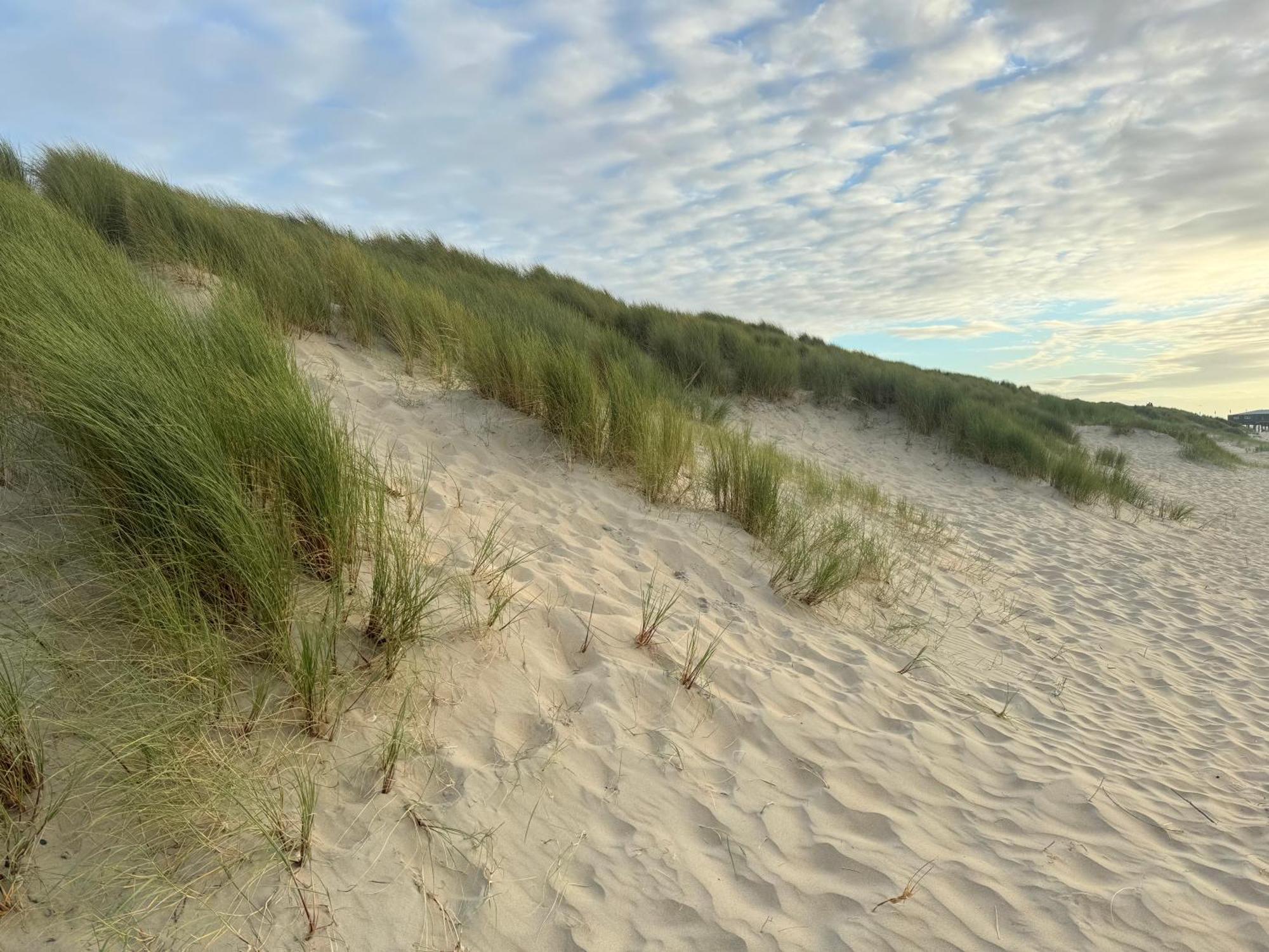 Huebsches Ferienhaus In Ouddorp - Fusslaeufig Zum Strand Und Zentrum Екстер'єр фото